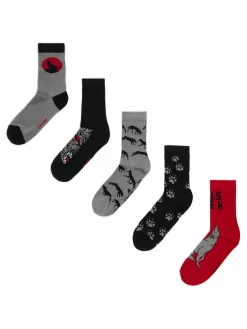 Cropp Skarpetki*5 pack skarpet z wilkami