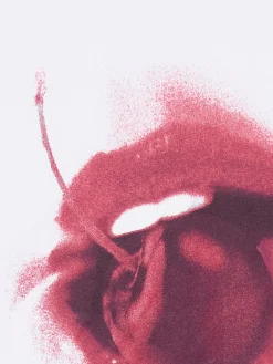 Cropp Koszulki, Topy*Biała koszulka z motywem wiśni