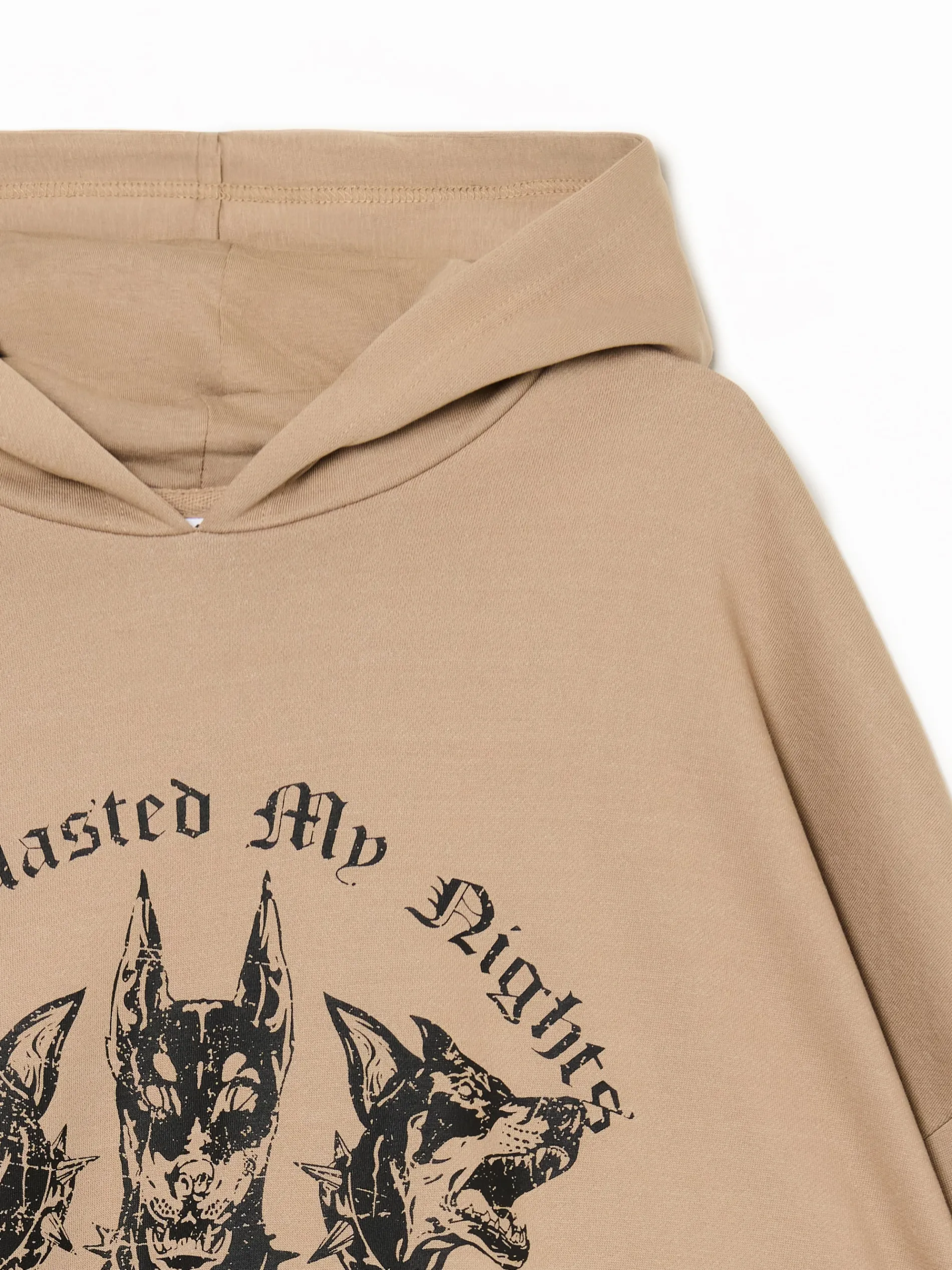 Cropp Unisex|Unisex*Brązowa bluza hoodie z dobermanami UNISEX