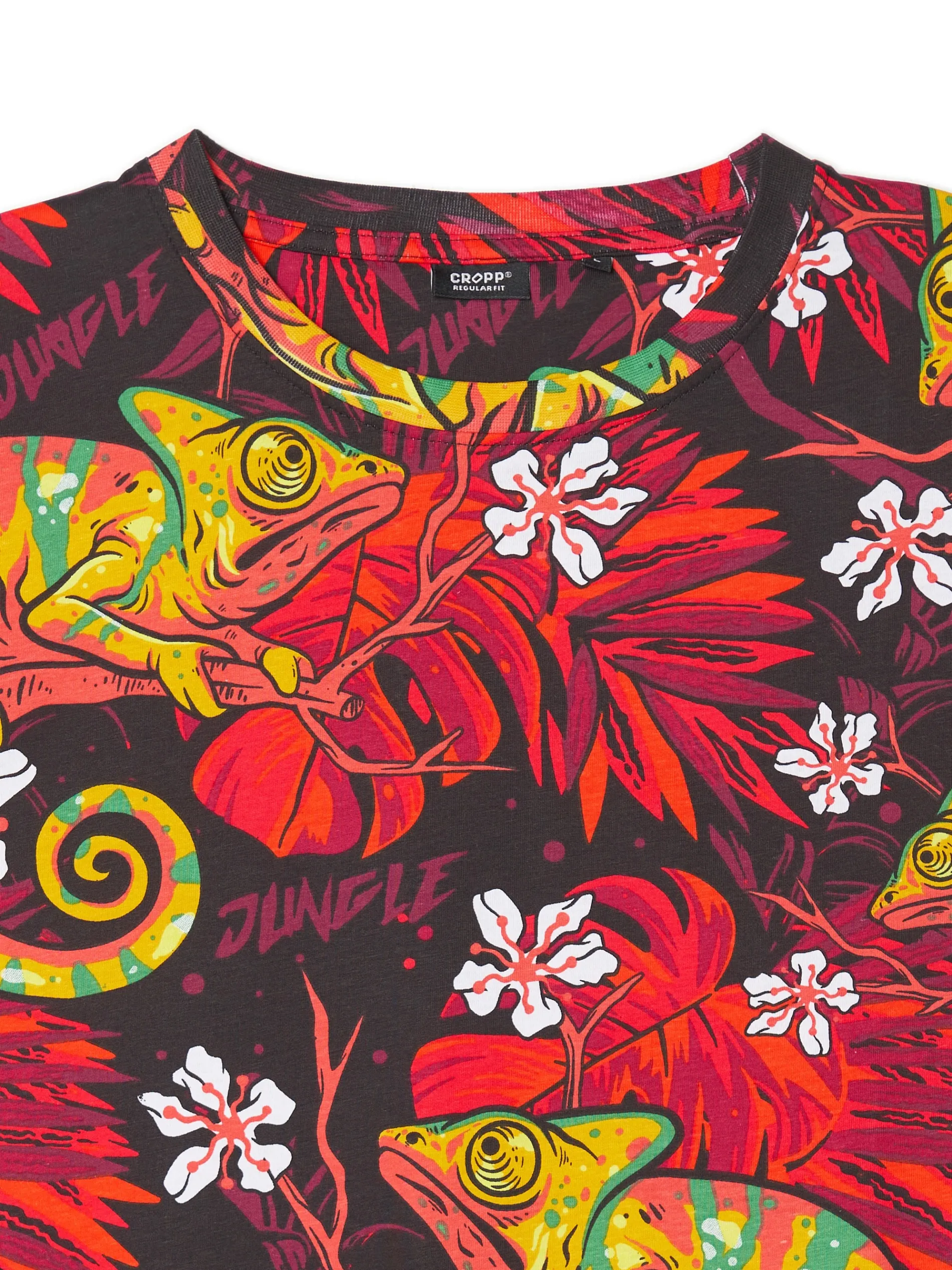 Cropp Koszulki*T-shirt z kameleonem