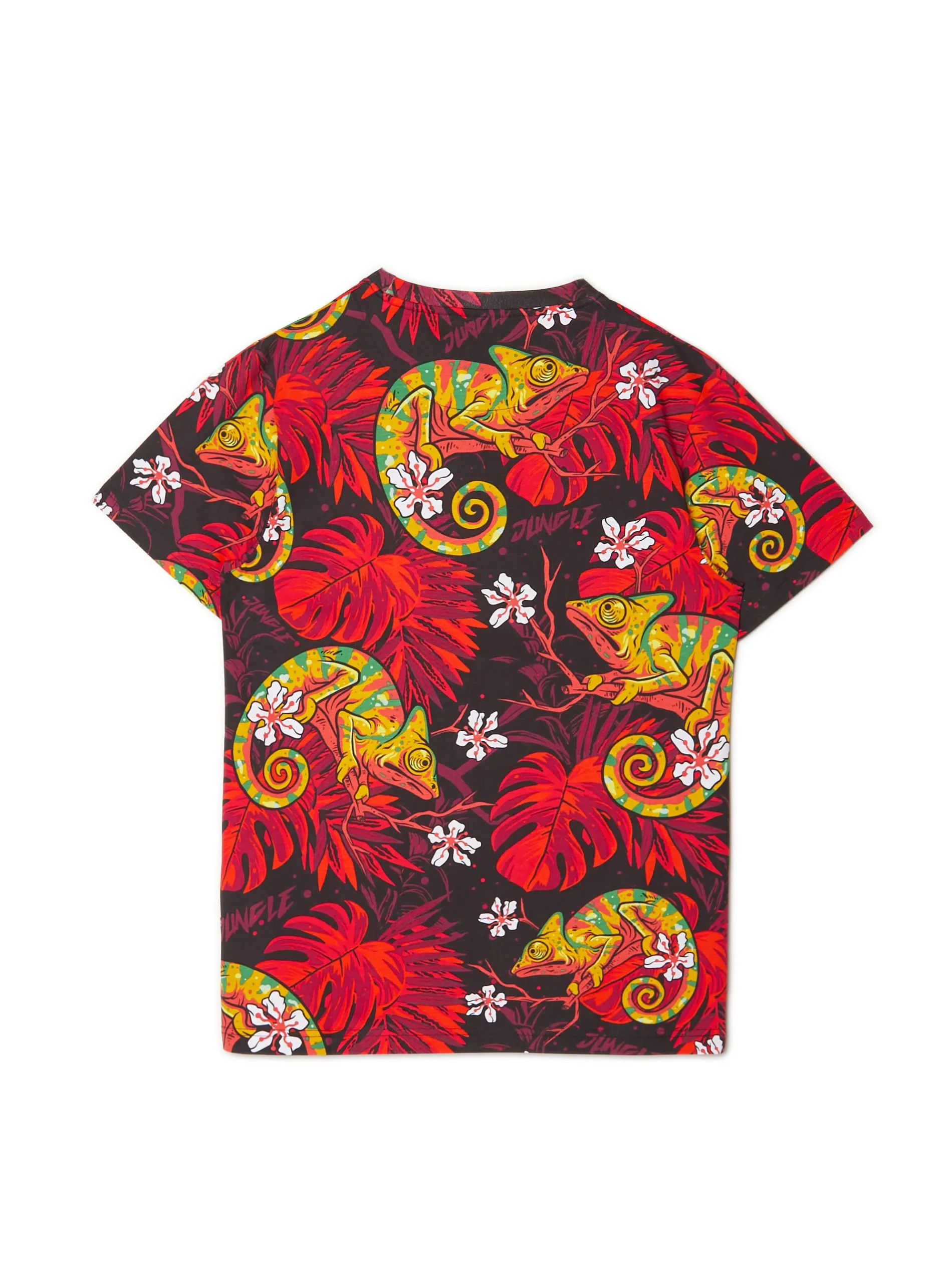 Cropp Koszulki*T-shirt z kameleonem